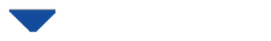 TransferChain logo